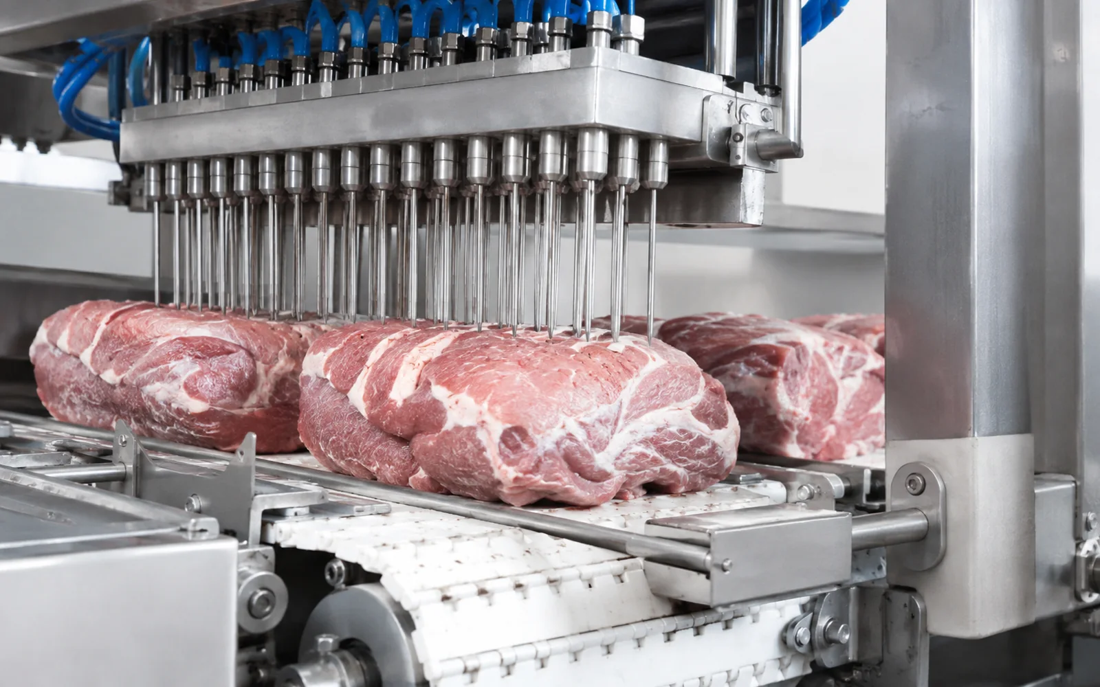 meat-processing-factory-brine-injection-marination