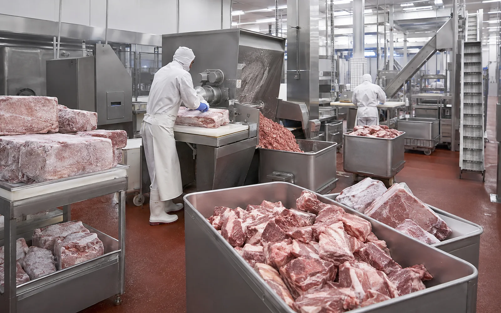 meat-processing-factory-raw-material-preparation